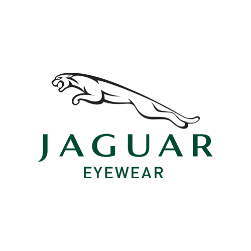 Brand Jaguar Logo