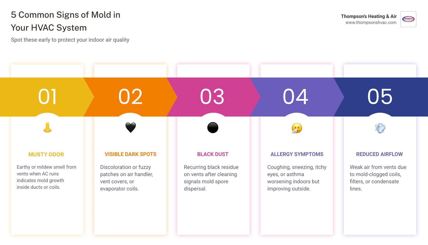Infographic showing how mold spreads through HVAC ductwork and the key warning signs homeowners should watch for - signs of