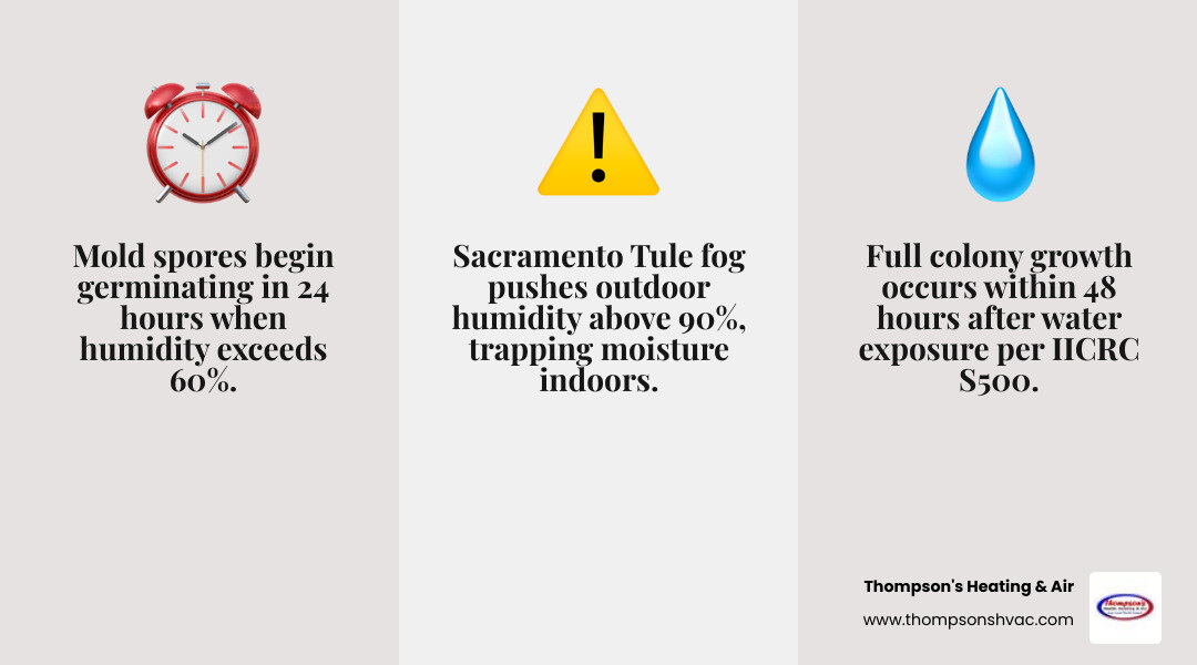 Infographic showing the 24-48 hour mold growth timeline after water damage with humidity triggers and prevention checkpoints