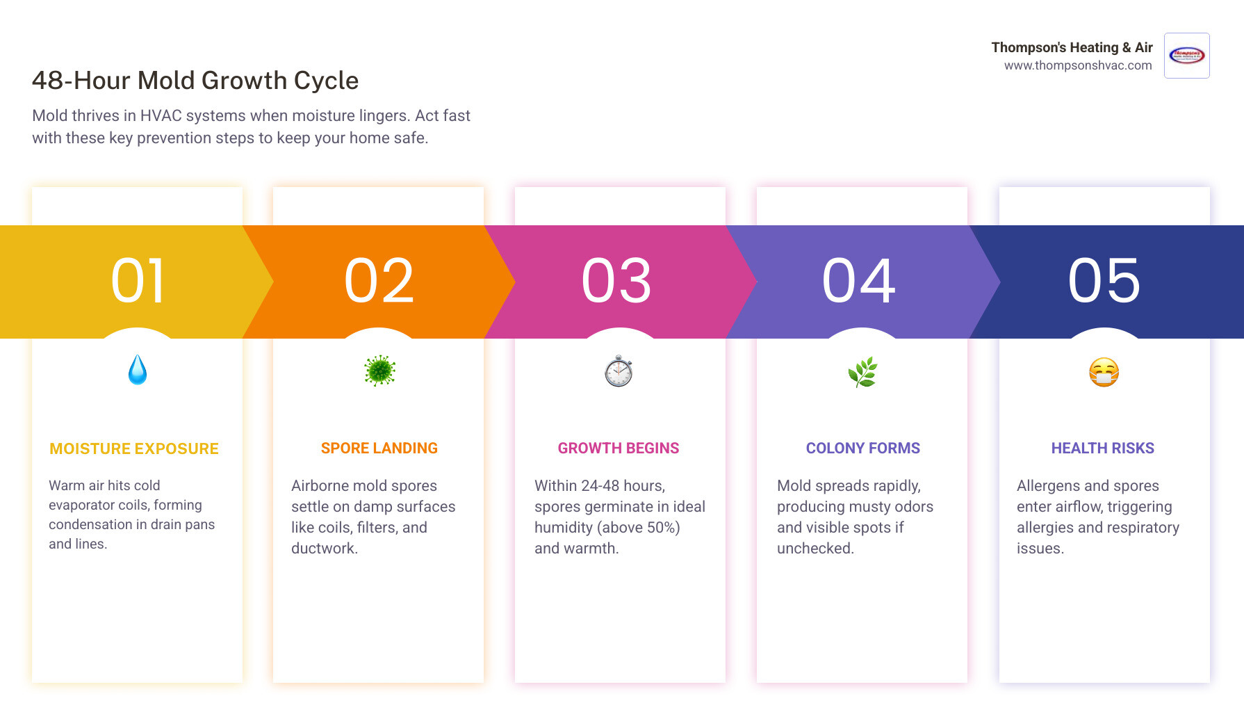 Infographic showing the 48-hour HVAC mold growth cycle, humidity thresholds, and key prevention steps - mold prevention and
