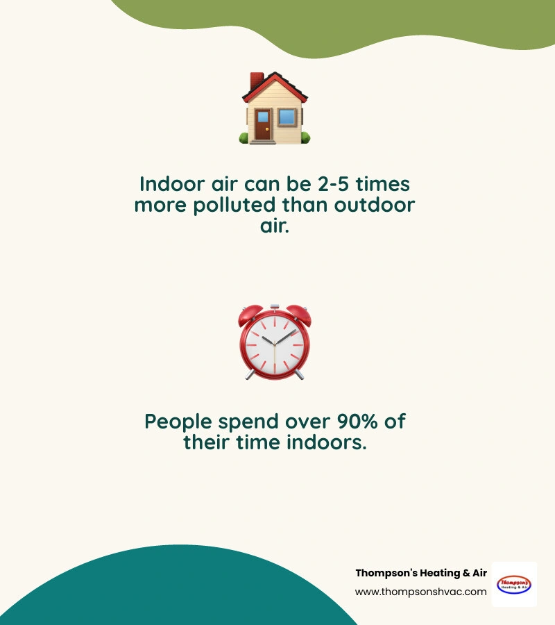 infographic showing common indoor air pollutants including VOCs allergens mold spores and particulates - air purification infographic showing common indoor air pollutants including VOCs allergens mold spores and particulates - air purification