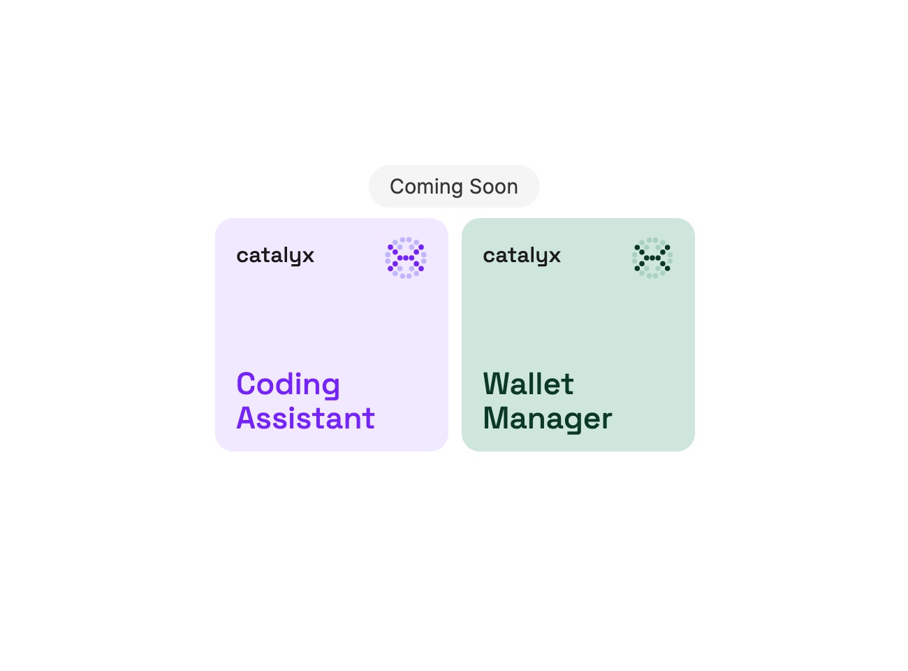 Upcoming CatalyX products: Coding Assistant and Wallet Manager