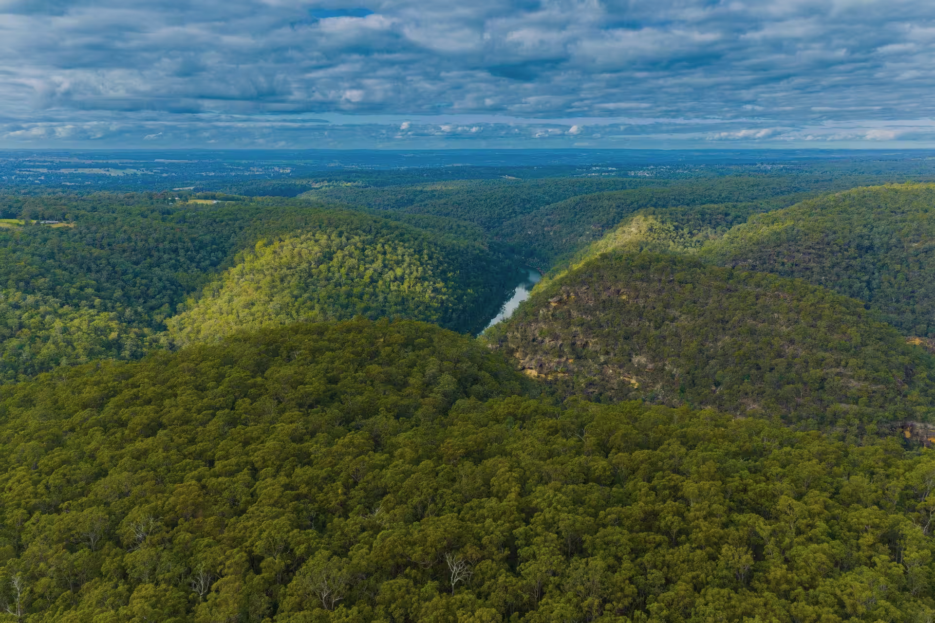 Bushland landscape near Glenbrook in the Blue Mountains