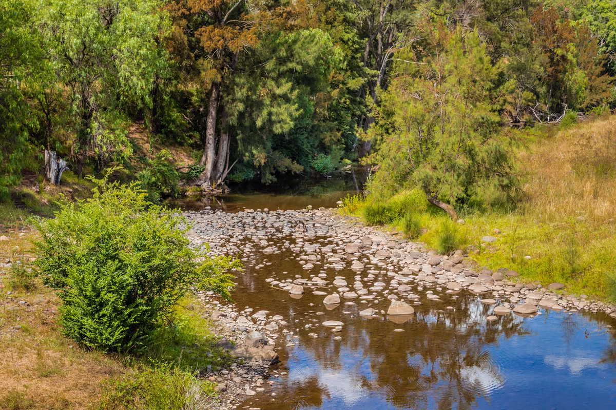 Natural creek surrounded by Australian bushland