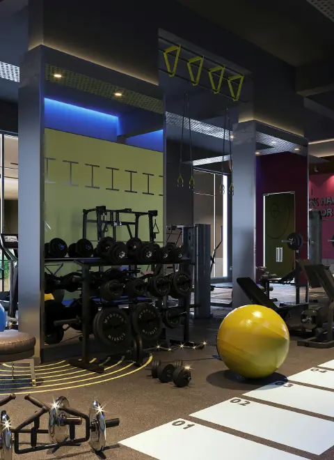 Modern gym interior with dumbbells, exercise balls, pull-up handles, and workout equipment on a carpeted floor.