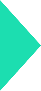 Polygon 1
