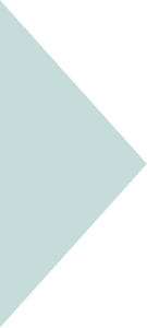 Polygon 2