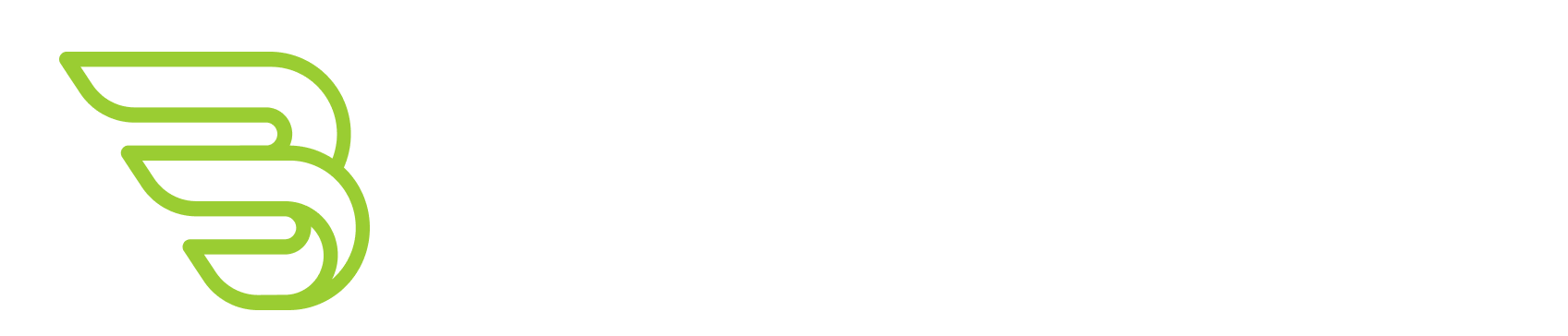 BAER logo with a stylized green wing icon to the left of white uppercase text.