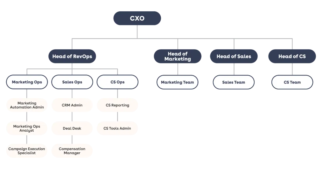Org chart with CXO at the top, overseeing RevOps, Marketing, Sales, and CS.