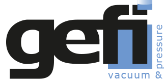 GEFI France logo