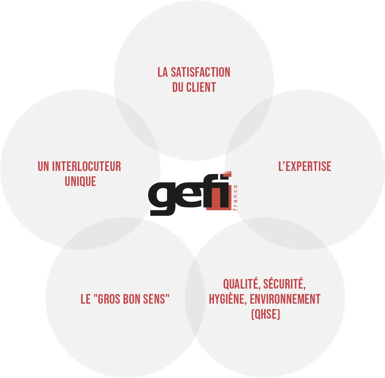 schema groupe GEFI France