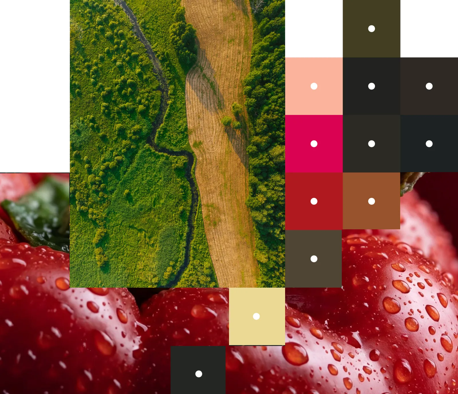 Aerial view of a green and yellow farmland bordered by a meandering river, surrounded by trees, with a color palette swatch and partially visible red apples on dry straw below.
