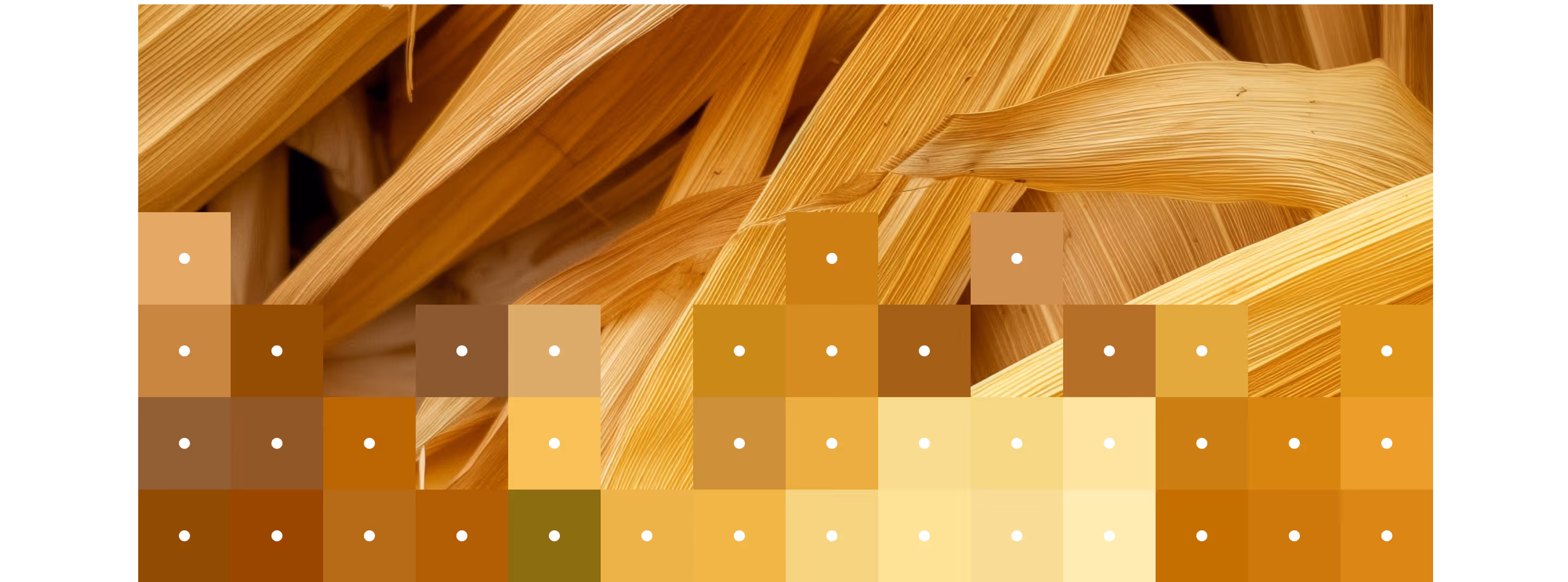 Close-up of dried corn husks with overlapping textures in warm brown and golden tones.