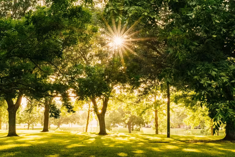 Goodweighs reaktion på sändningen av Kassa (28 februari 2026)