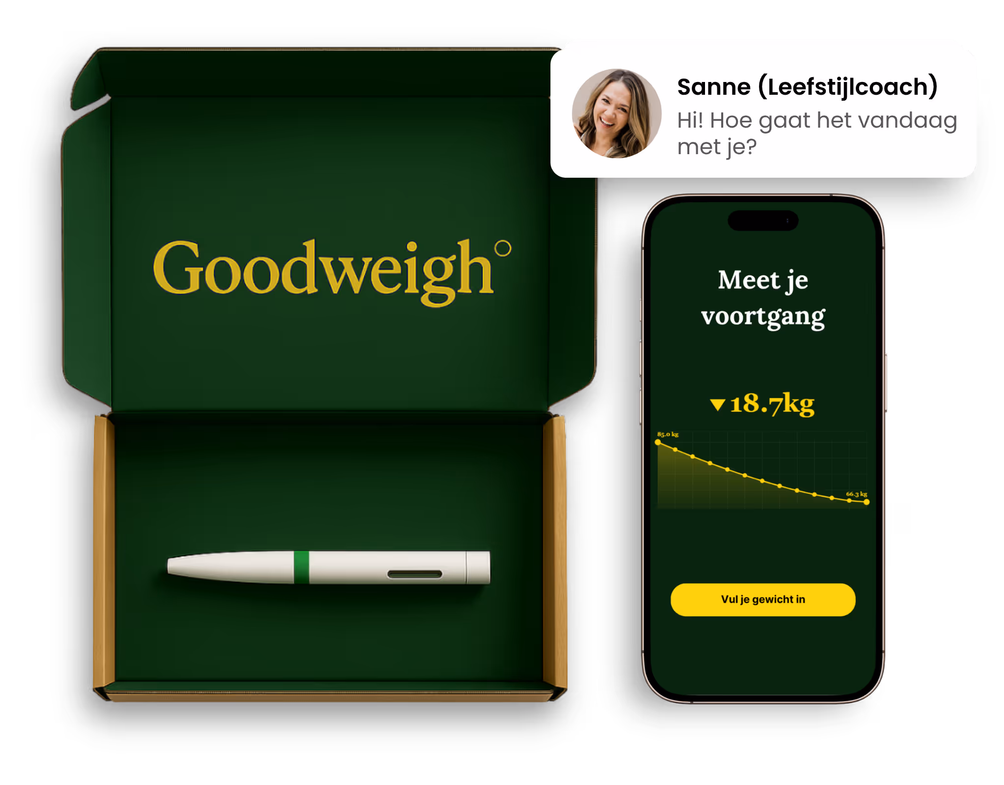 Goodweigh weight loss program