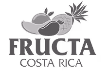 Logo Fructa z ilustracją mango i ananasa oraz napisem Costa Rica.