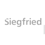 Napis 'Siegfried' w stylizowanym, jasnoszarym fontcie na białym tle.