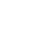 Professional oversight under strict confidentiality
