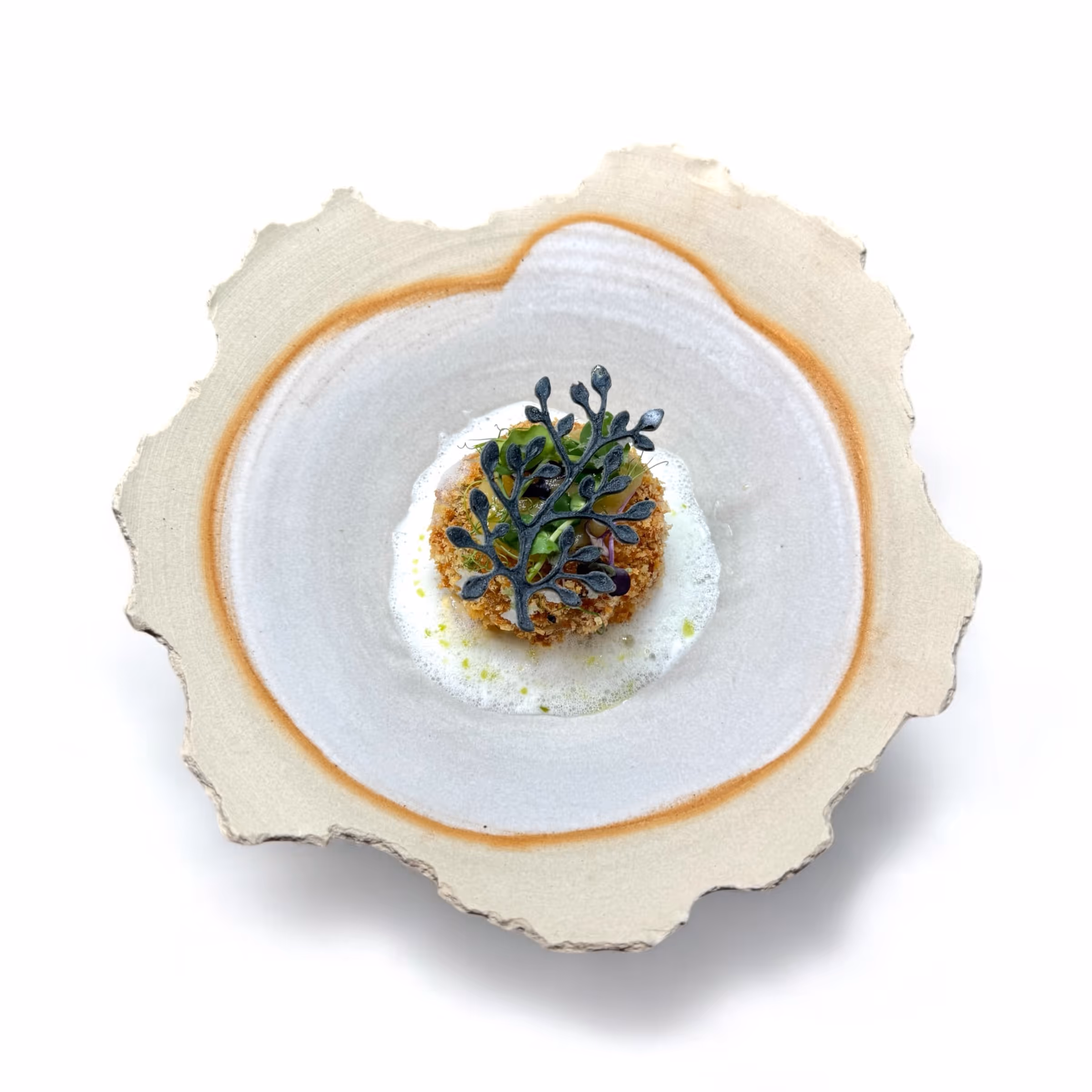 Kunstvoll angerichteter, paniert gebratener Snack mit einer schwarzen essbaren Dekoration und Schaum auf einem rustikalen, unregelmäßig geformten Teller.