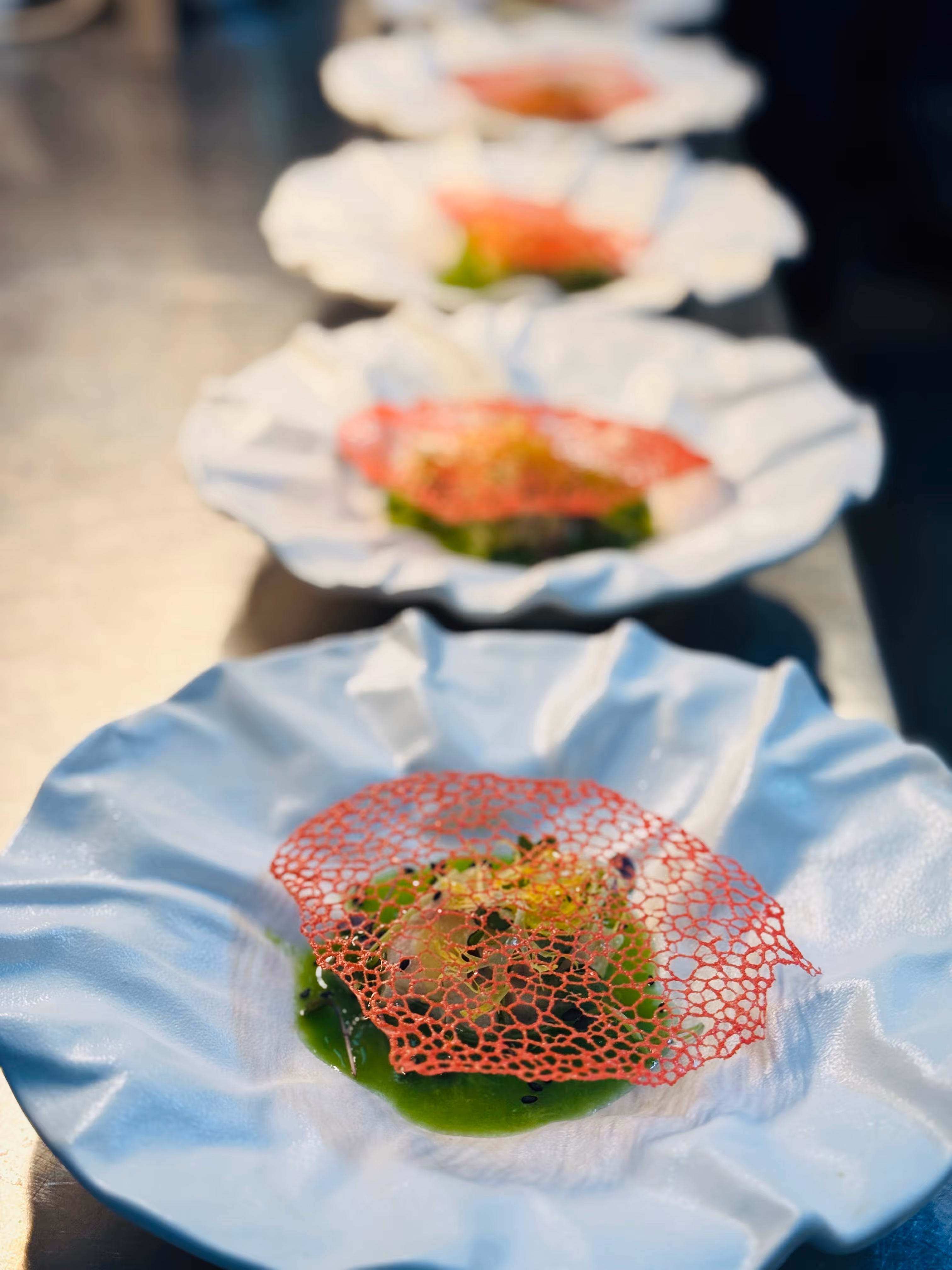 Mehrere kunstvoll angerichtete Gerichte mit grünem Sauce und zartem roten Netz auf weißen, wellenförmigen Tellern.