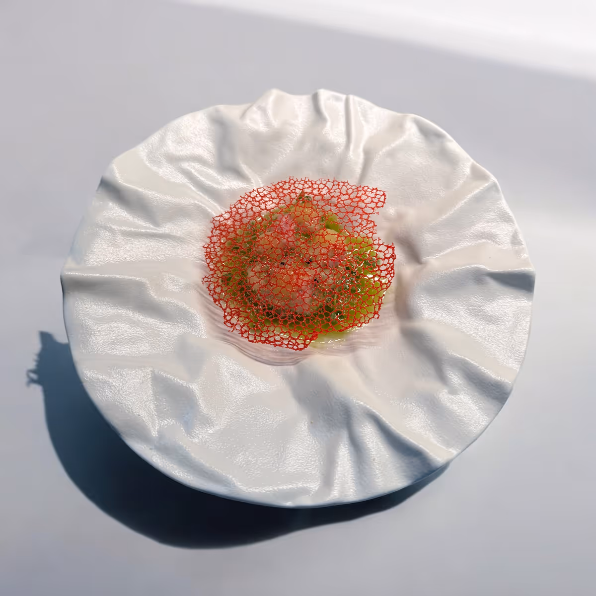 Eleganter weißer Teller mit einem feinen roten essbaren Netz und grüner Sauce in der Mitte.