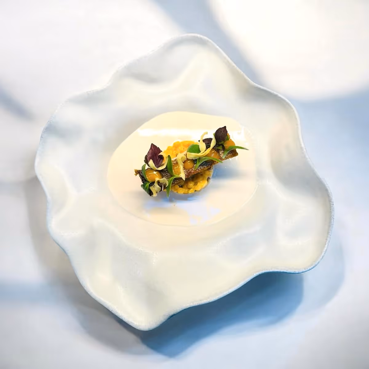 Elegantes Gericht mit gebratenem Fisch, verziert mit gelber Sauce und grünen Blättern auf einer weißen, wellenförmigen Platte.