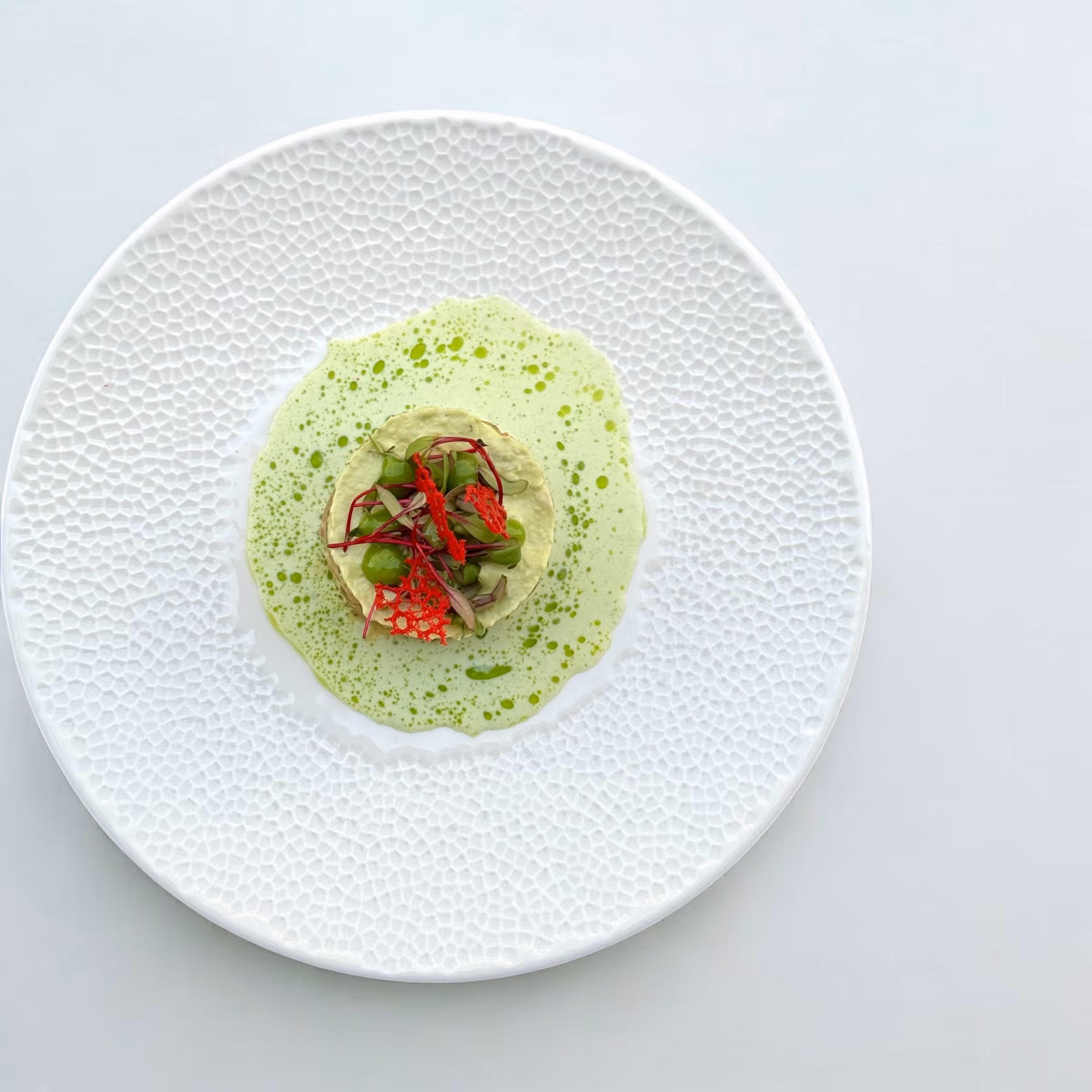 Fein angerichteter Teller mit einer cremigen Vorspeise, garniert mit grüner Sauce und roten Kräuterblättern auf weißem Muster-Teller.