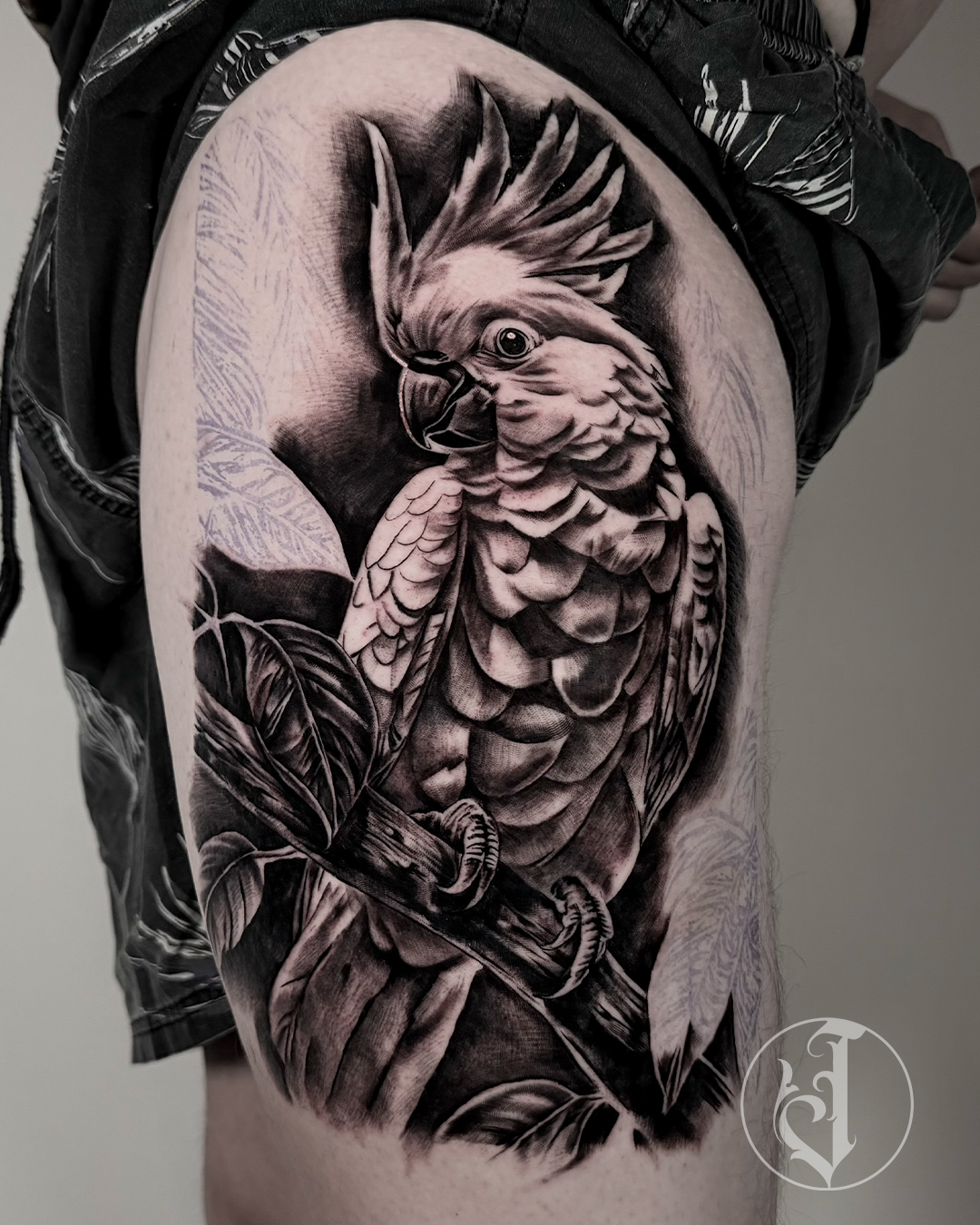 Cockatoo tattoo used to discuss drawn and sketch-based interpretation