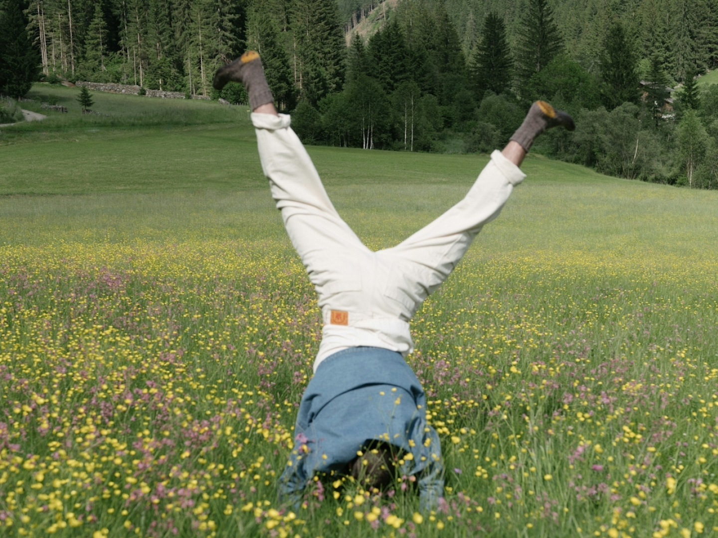 __wf_reserved_inherit