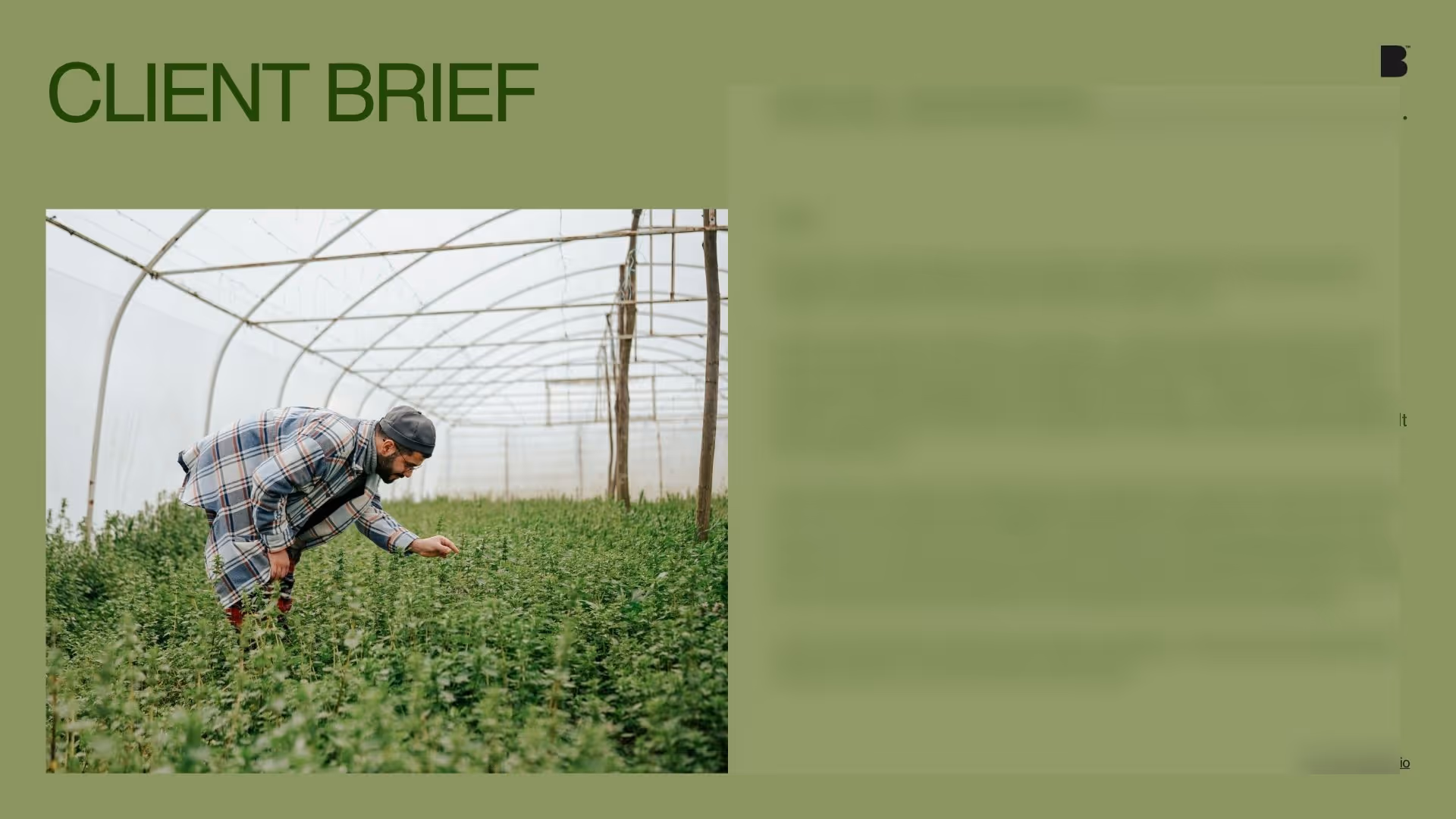 Fresh Produce Brand — Visual Identity & Retail Packaging System