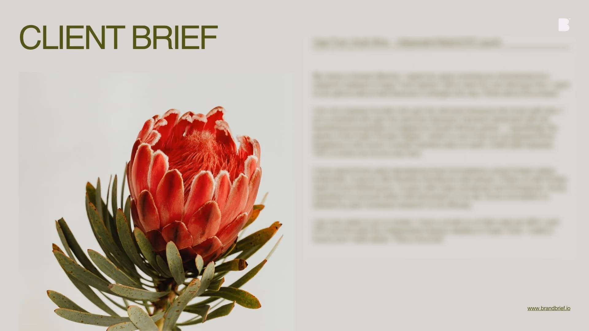 Botanical Skincare Brand, Visual Identity & Product Label System