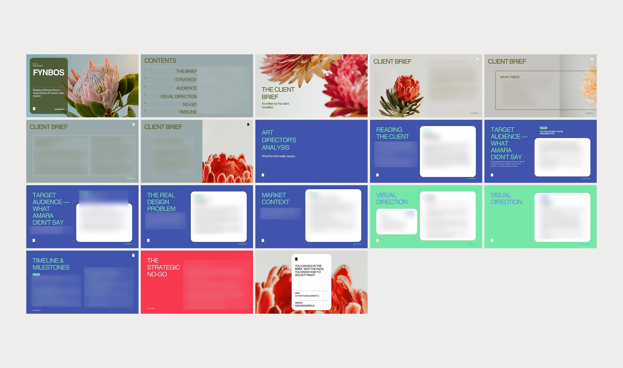 Fynbos Design Brief — Art Director Analysis, Competitive Landscape and Visual Direction
