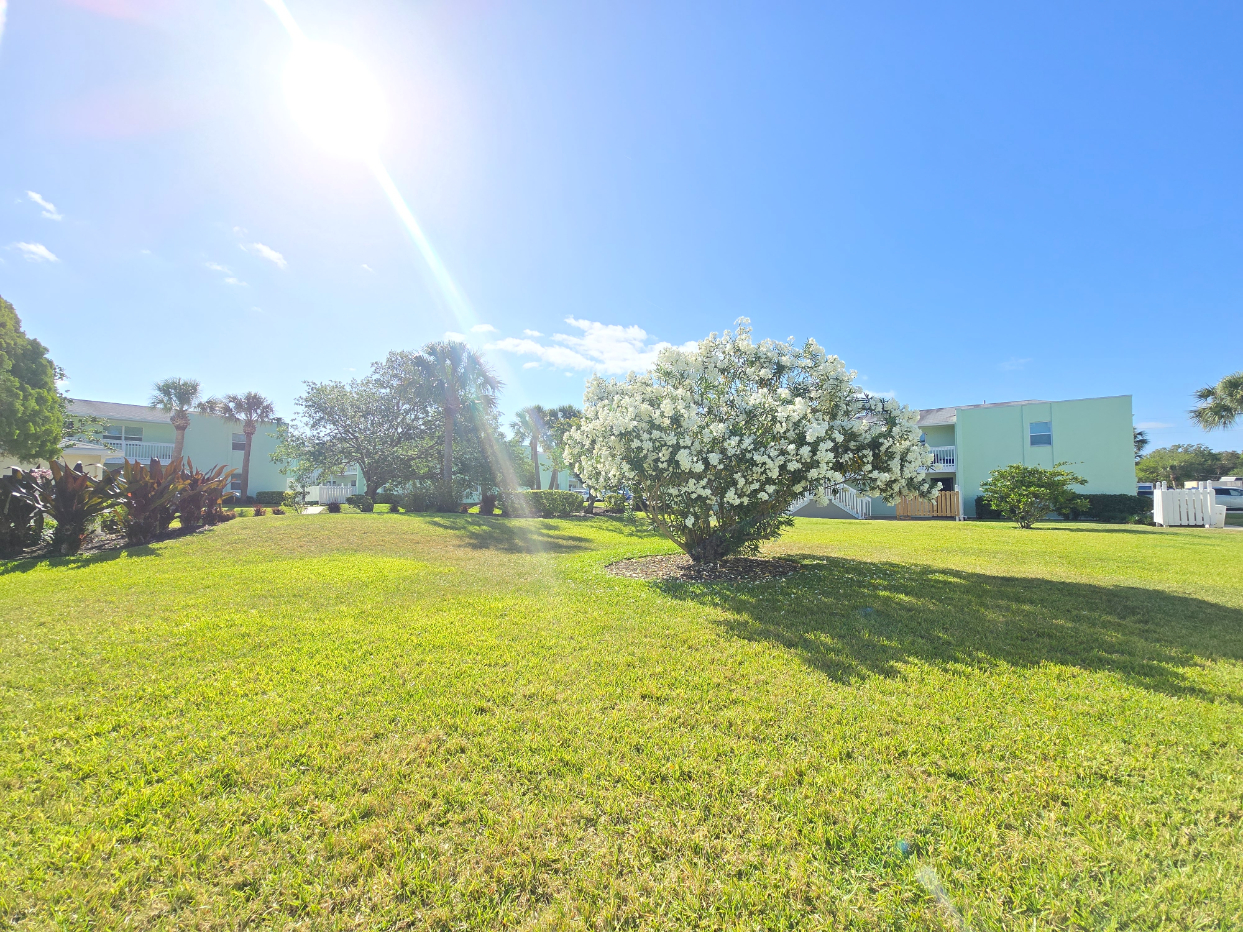 Marina Vista landscaped courtyard 
