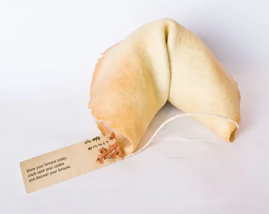 Unique fortune cookie packaging for any business, make your clothing line great.