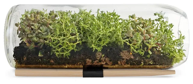 creative ideas for gifts for marketers