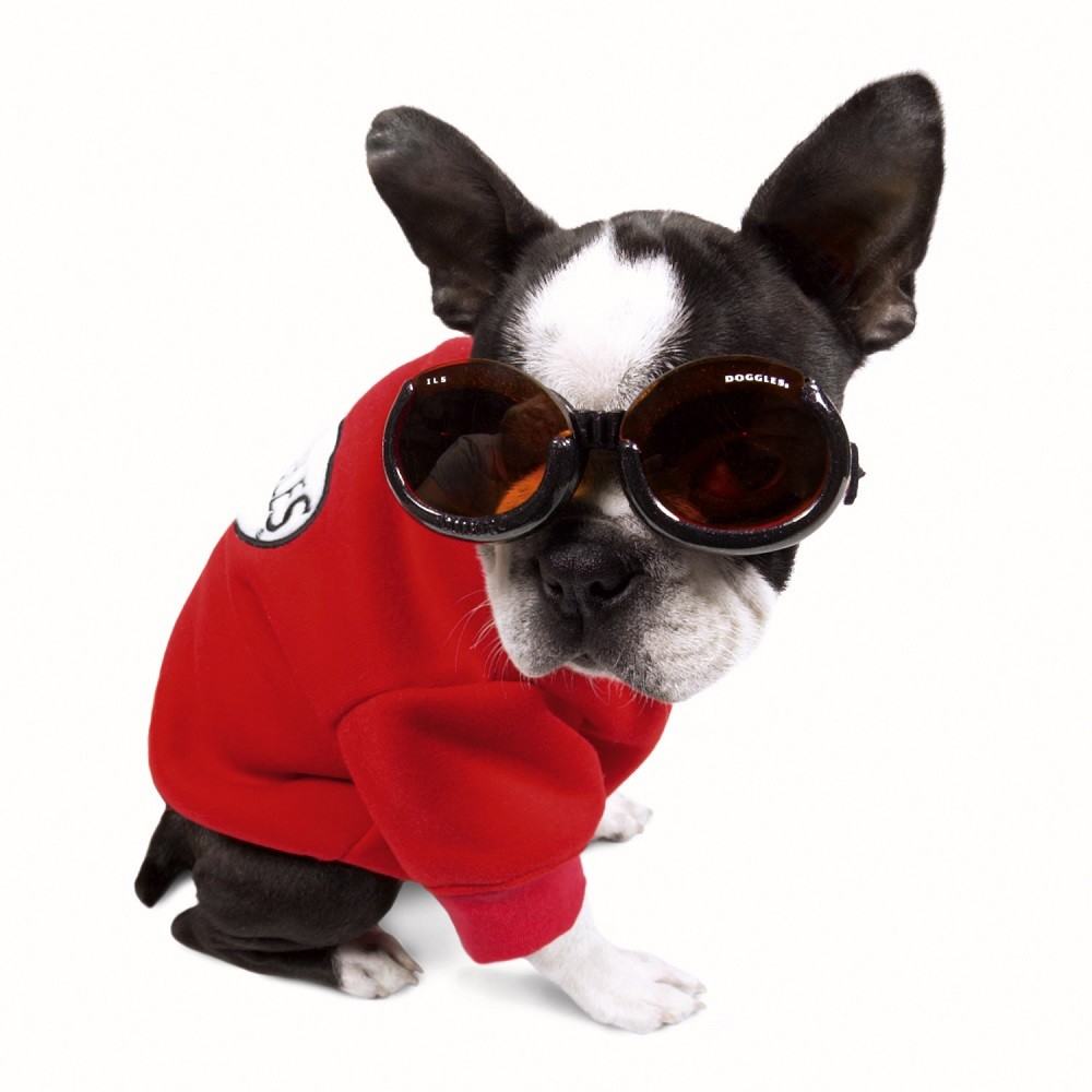 Animals need protection from the sun same as humans, with Doggles your dog`s sense of sight wont be lost.