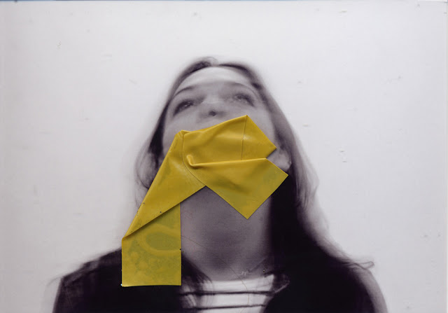 Rosanna Jones - from the series Concealment II. Manipulate images and create using different elements content for you audience.