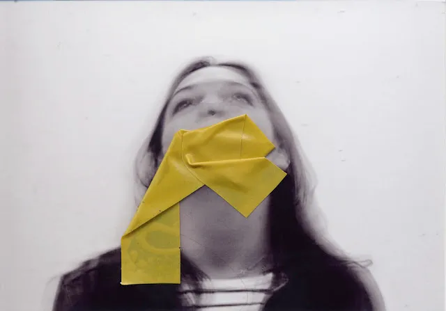 Rosanna Jones - from the series Concealment II. Manipulate images and create using different elements content for you audience.