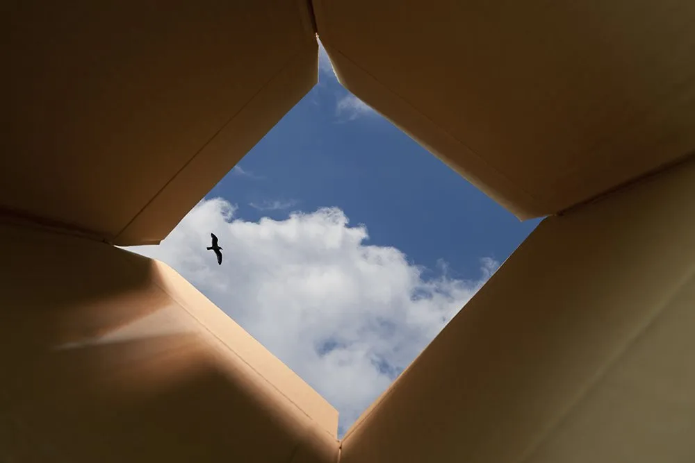 If you don't see posts think you've been blocked or blocked by mistake file. You can resolve mistake filing a ticket.