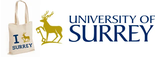 Range of merch products vary but hoodies and jumpers are the most popular like in Surrey.