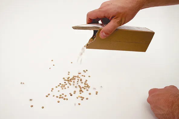 sustainable packaging, packaging design, design sustainable, eco friendly design, t-shirt printing, t-shirt printing manchester, t-shirt printing london, t-shirt printing london, t-shirt printing UK, t-shirt printing bristol, t-shirt printing glasgow