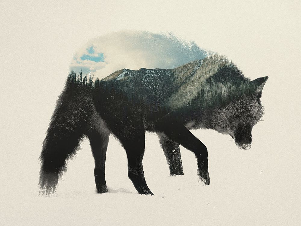 graphic design trends, double exposure