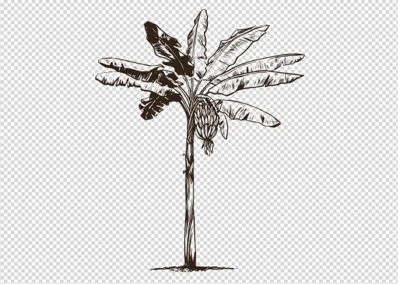 Custom T-shirts - Palm Tree PNG