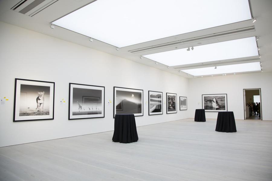 Saatchi Galleries 08 art exhibition space london