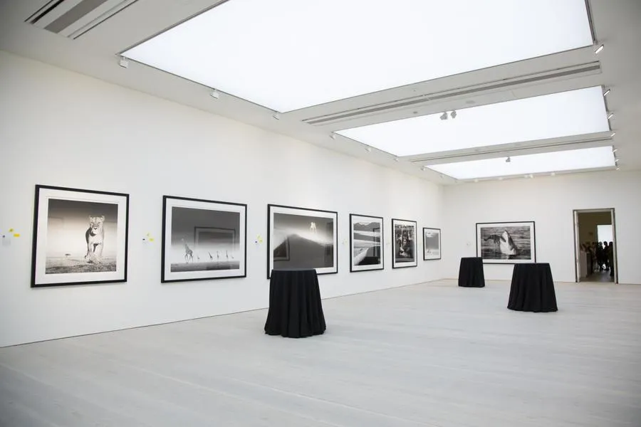 Saatchi Galleries 08 art exhibition space london