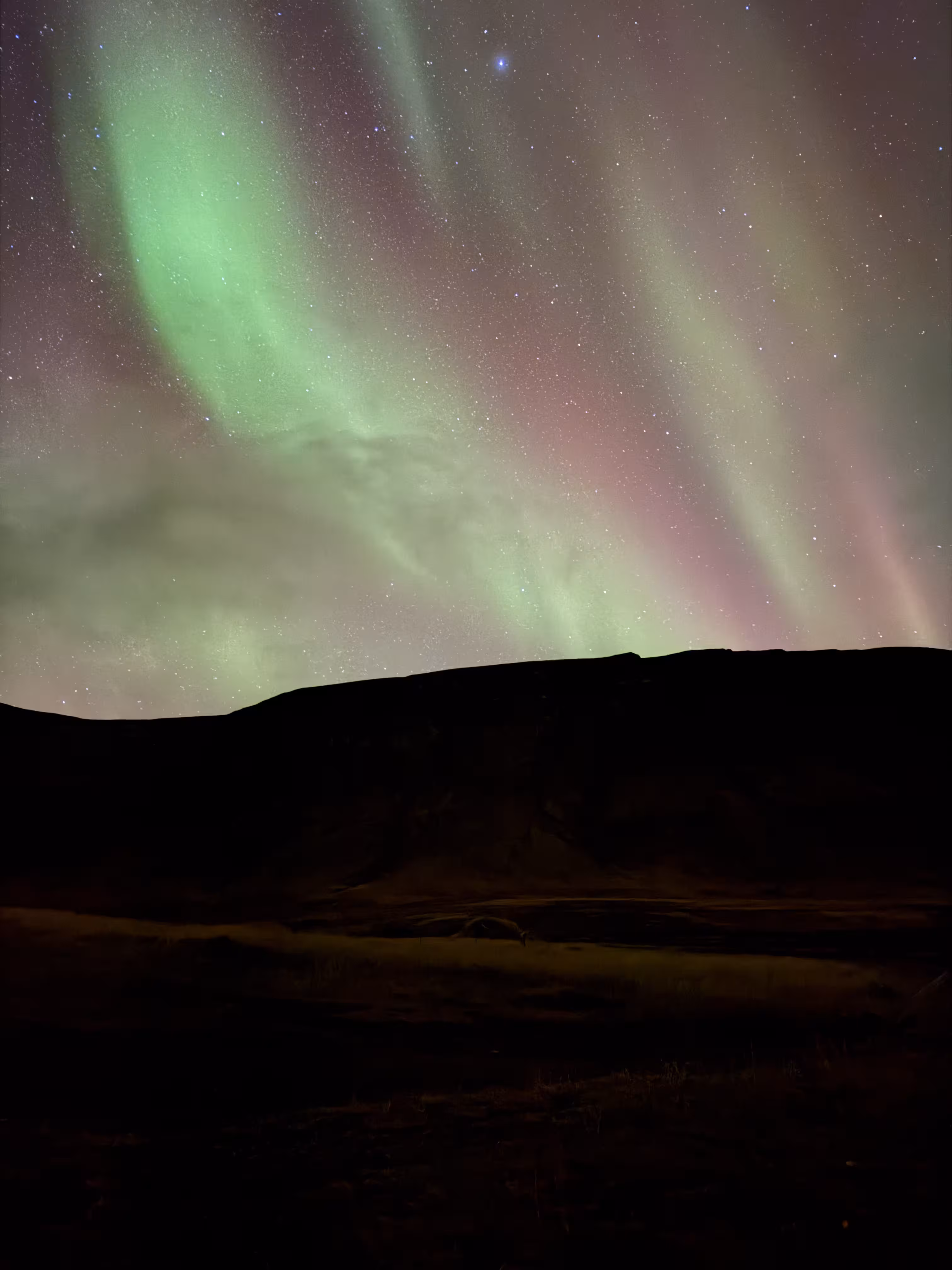 Northern lights (aurora borealis) dancing over Iceland at night