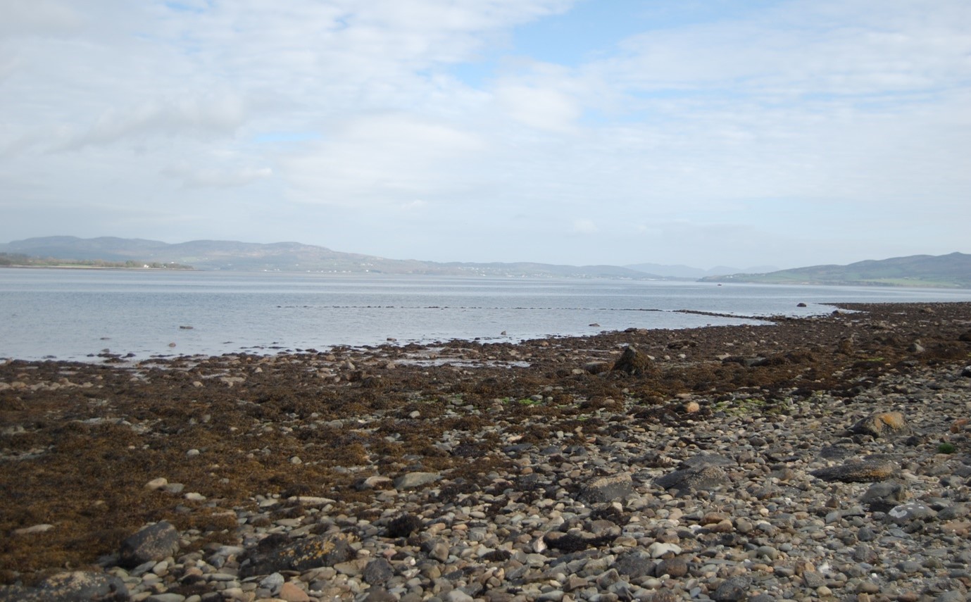 The tides of knowledge