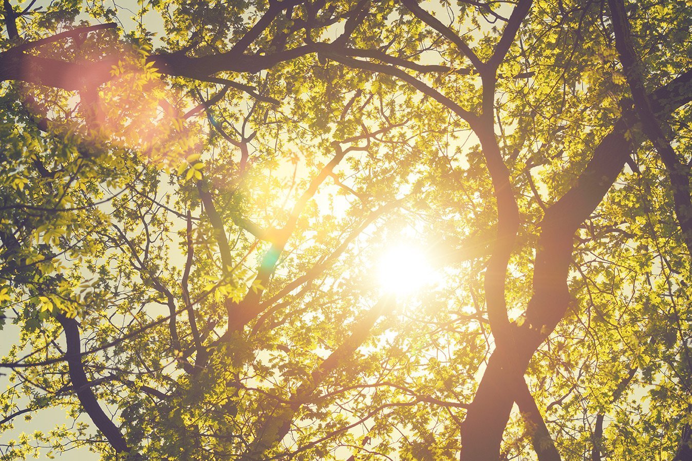 Bentonville in Bloom: Why This Artsy, Outdoorsy City Is a Prime Real Estate Investment