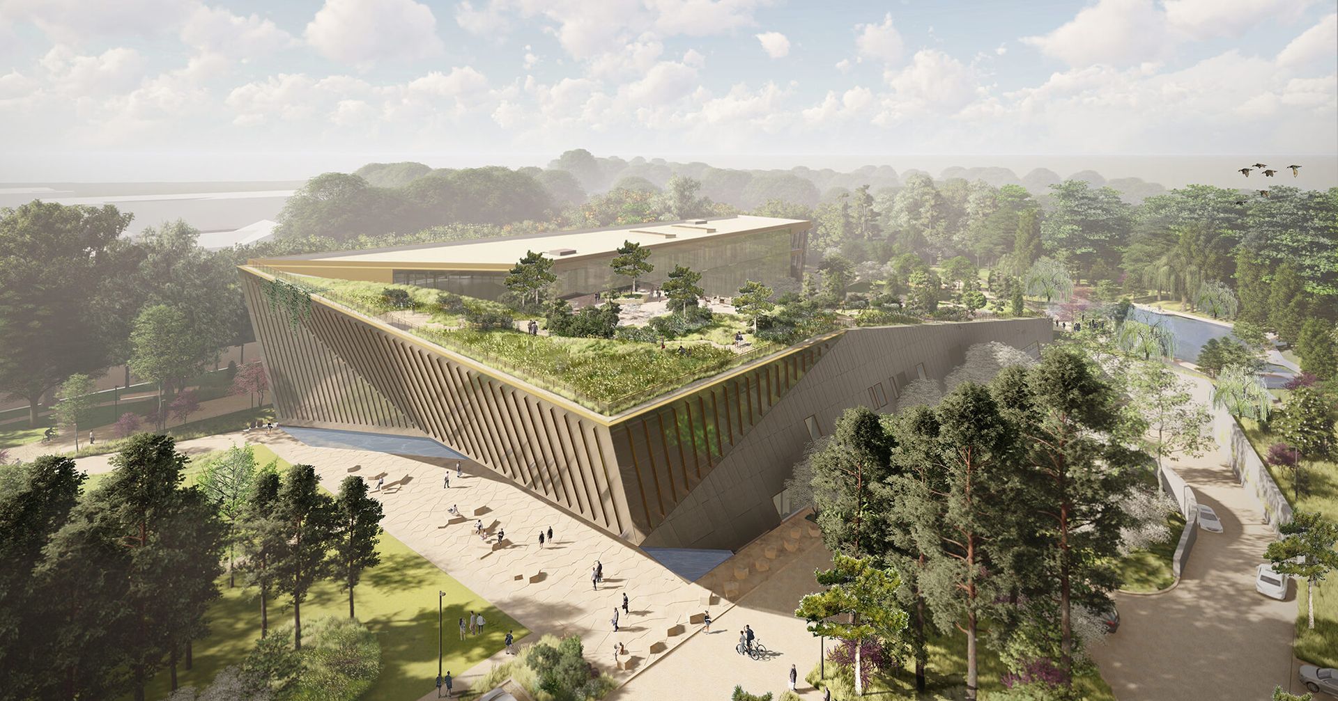 Alice L. Walton School of Medicine: A Catalyst for Growth in Northwest Arkansas Real Estate Investments