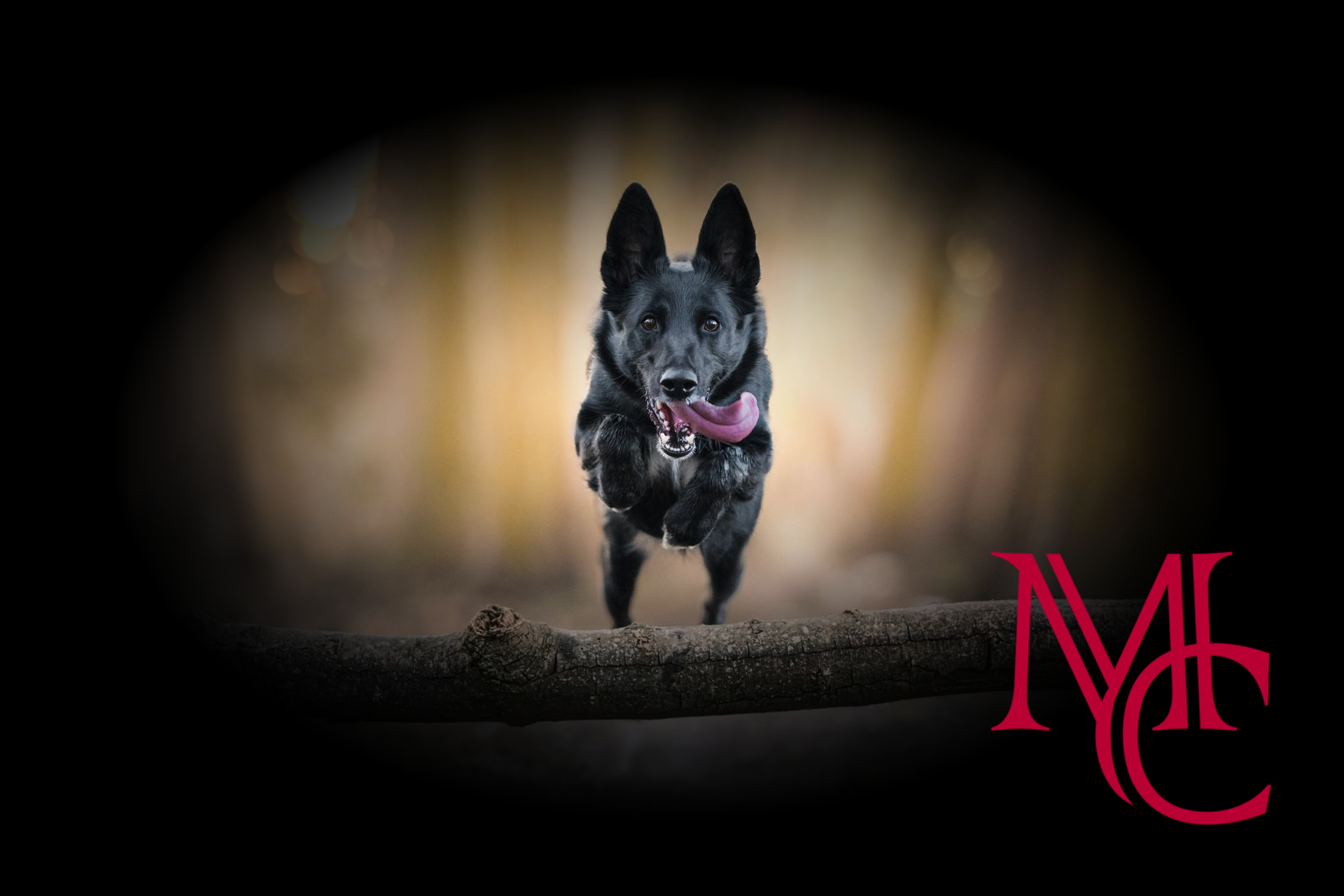 Wall Street NWA Real Estate